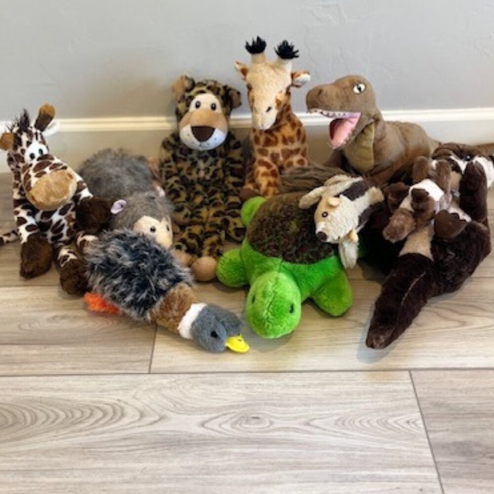 Plush Squeaky Toys